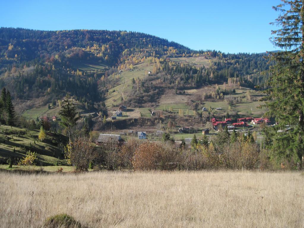 Guest House Stari Druzy Slavske Exteriör bild
