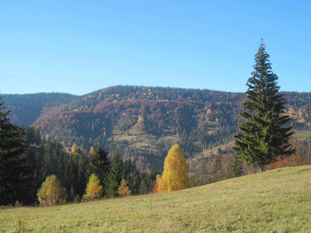 Guest House Stari Druzy Slavske Exteriör bild