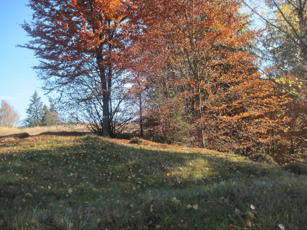 Guest House Stari Druzy Slavske Exteriör bild